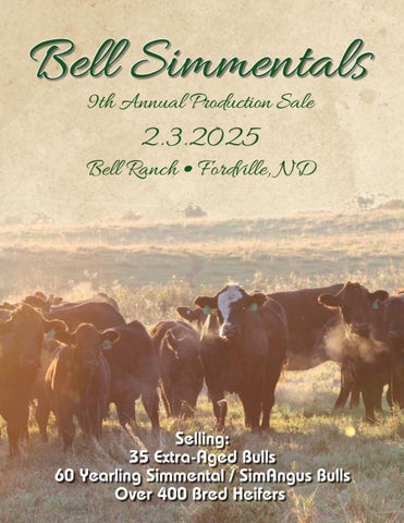 Bell Simmentals 9th Annual Production Sale