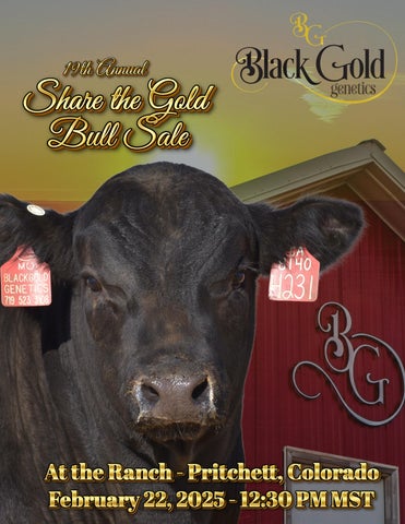 Black Gold Genetics 19th Annual Share the Gold Bull Sale