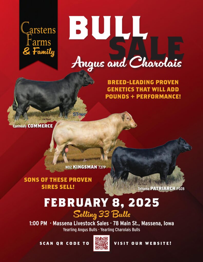 Carstens Farms Angus & Charolais Bull Sale