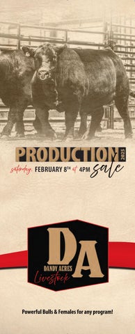 Dandy Acres 27th Annual Production Sale