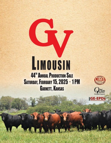 GV Limousin 44th Annual Production Sale