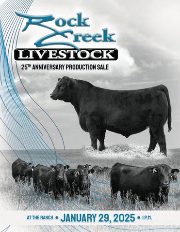 Geppert's Rock Creek Livestock 25th Anniversary Production iSale