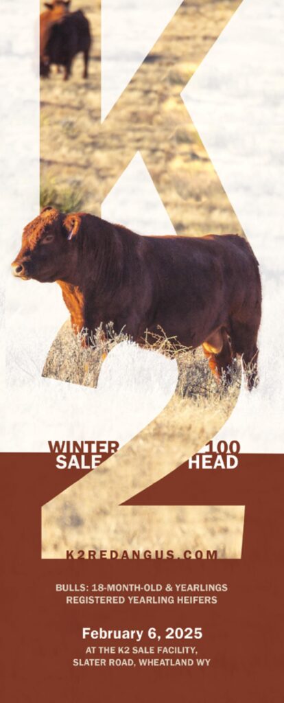 K2 Red Angus Winter Sale