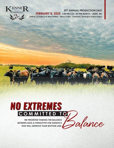 Kenner Simmentals 29th Annual Production Sale