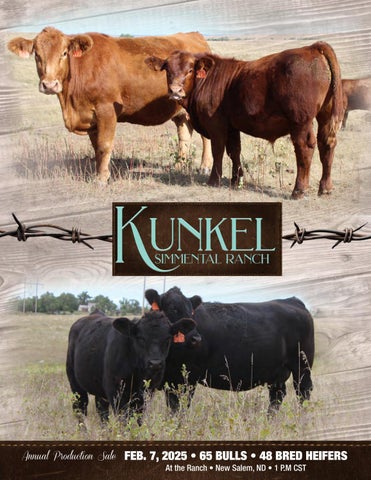 Kunkel Simmental Ranch Annual Production Sale