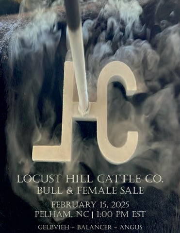 Locust Hill Cattle Co. Bull & Female Sale