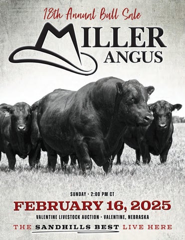 Miller Angus 18th Annual Bull Sale