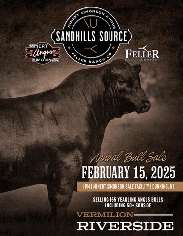 Minert Simonson Angus Sandhills Source Annual Bull Sale