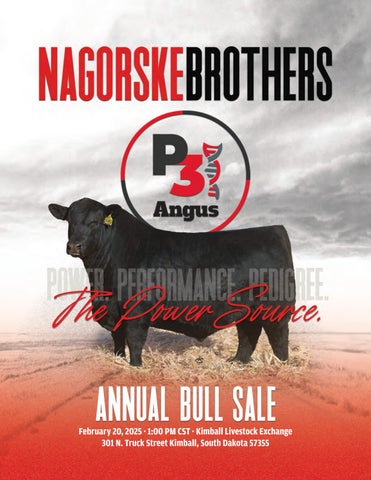 Nagorske Brothers Angus - 2025 Spring Mailer and Lead Generation