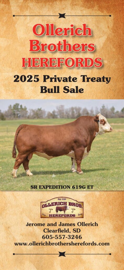 Ollerich Brothers Herefords 2025 Private Treaty Bull Sale