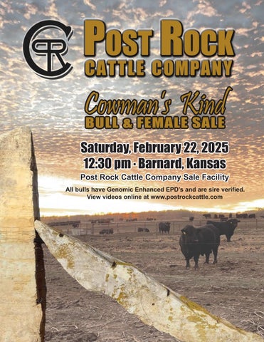 Post Rock Cattle Company Bull & Female Sale