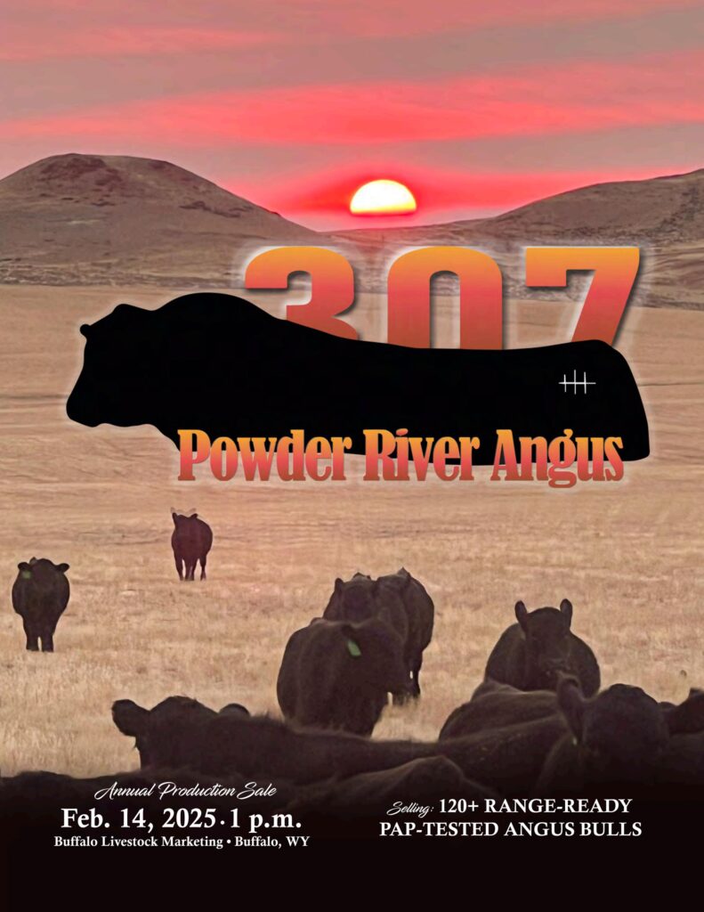 Powder River Angus Annual Production Sale