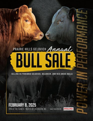 Prairie Hills Gelbvieh Annual Bull Sale