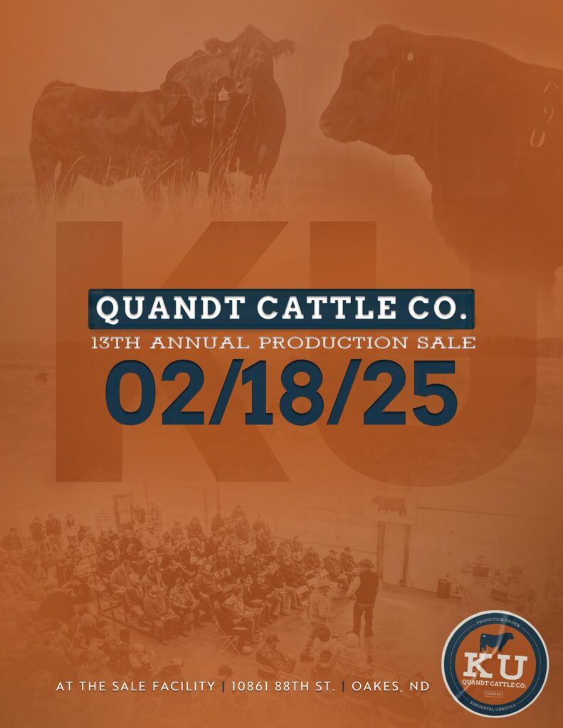 Quandt Cattle Co. 13th Annual Bull Sale