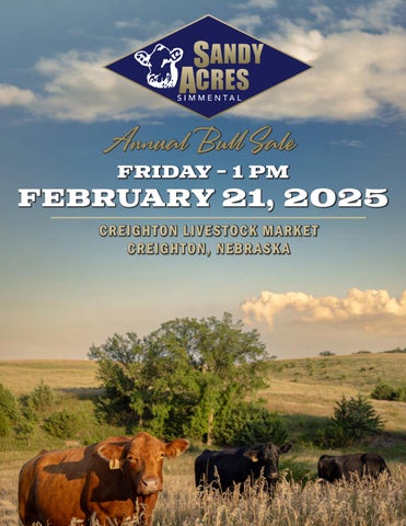 Sandy Acres Simmental Annual Bull Sale
