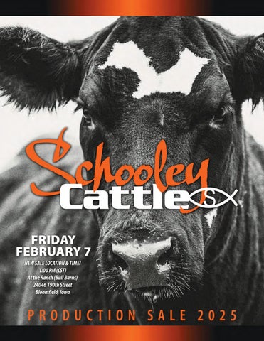 Schooley Cattle Production Sale