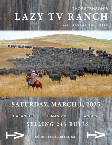 Thorstenson's Lazy TV Ranch 44th Annual Bull Sale