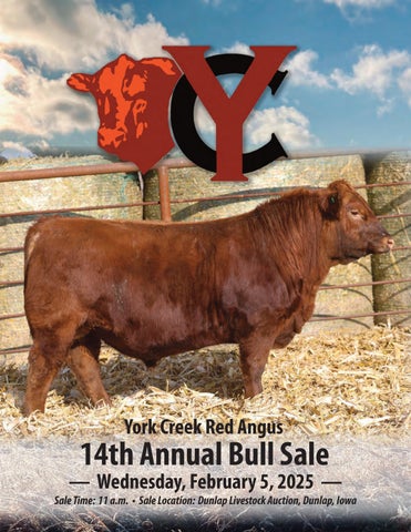 York Creek Red Angus 14th Annual Bull Sale