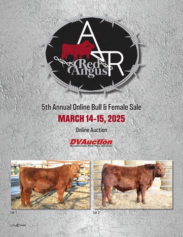 A&R Red Angus 5th Annual Online Bull & Female Sale