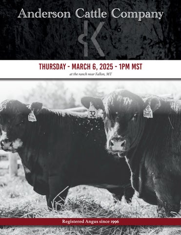 Anderson Cattle Company Annual Bull Sale