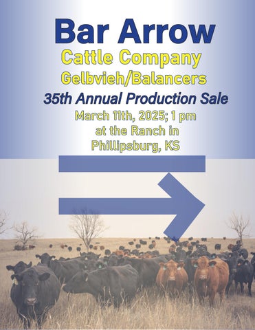Bar Arrow Cattle Company Gelbvieh/Balancers 35th Annual Production Sale