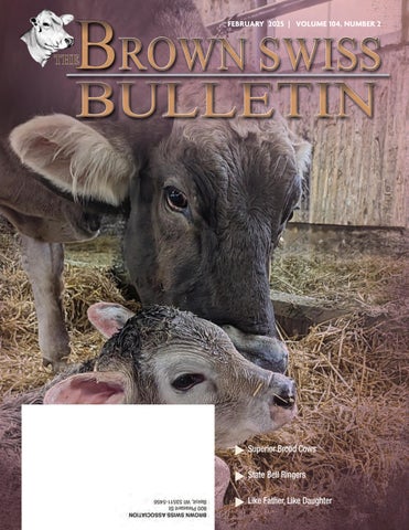 Brown Swiss Bulletin February 2025