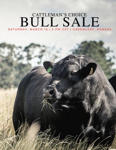 Cattleman's Choice Bull Sale