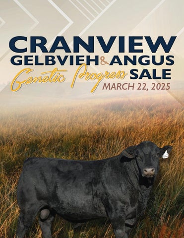 Cranview Gelbvieh & Angus Genetic Progress Sale