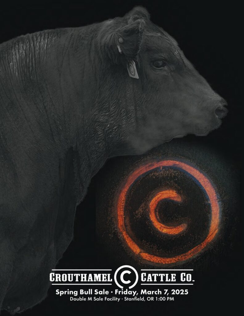 Crouthamel Cattle Co. Spring Bull Sale