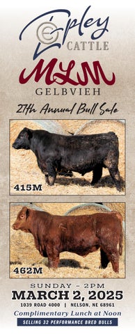 Epley Cattle / MLM Gelbvieh 27th Annual Production Sale