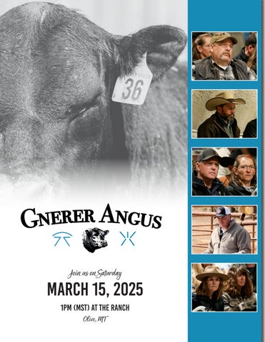 Gnerer Angus Spring Bull Sale