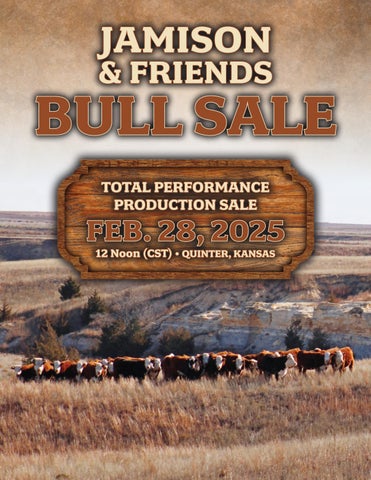Jamison & Friends Bull Sale