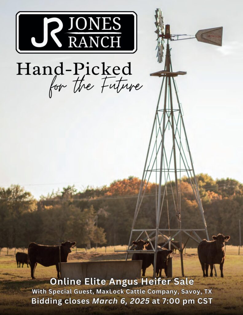 Jones Ranch Online Elite Angus Heifer Sale