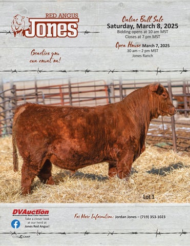 Jones Red Angus Online Bull Sale & Open House