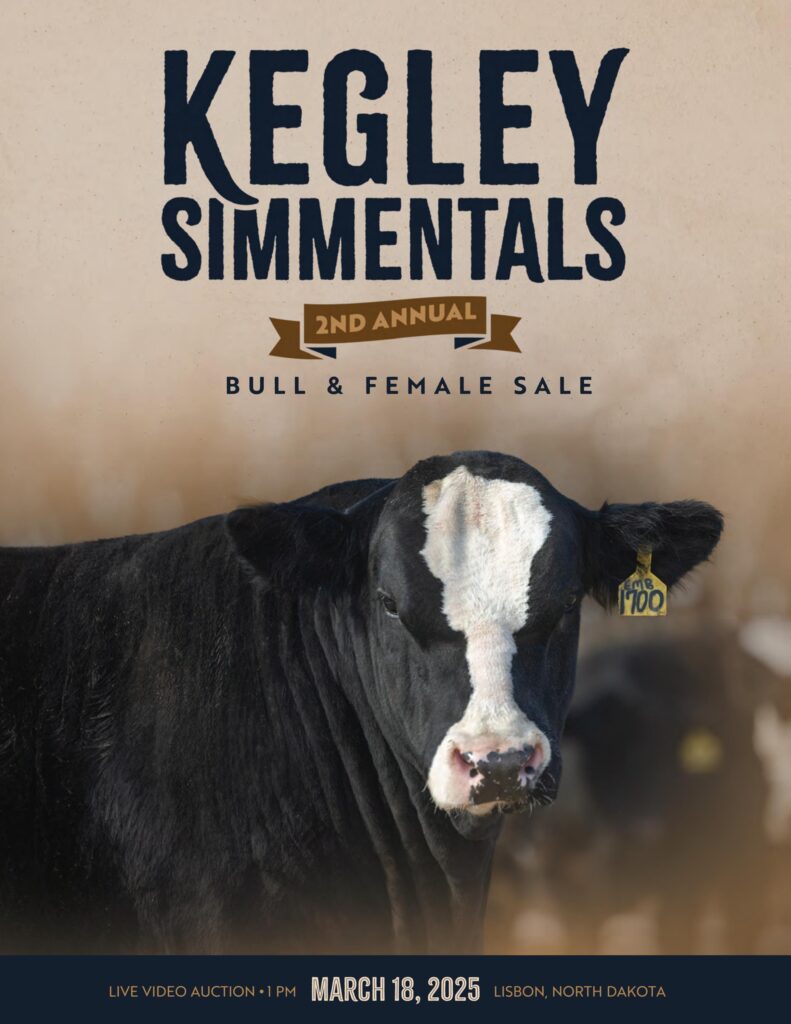 Kegley Simmentals 2nd Annual Bull & Female Sale