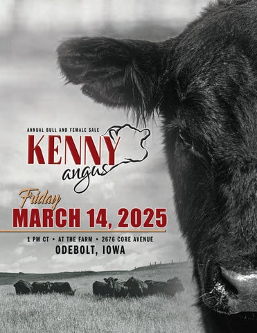 Kenny Angus Annual Bull & Female Sale