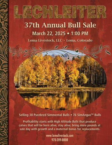 Lechleiter Simmental 37th Annual Bull Sale
