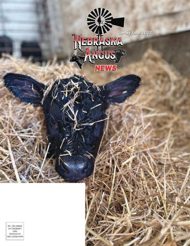 Nebraska Angus News Spring Issue