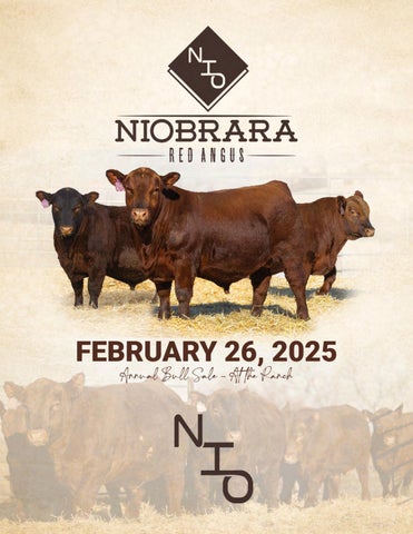 Niobrara Red Angus Annual Bull Sale