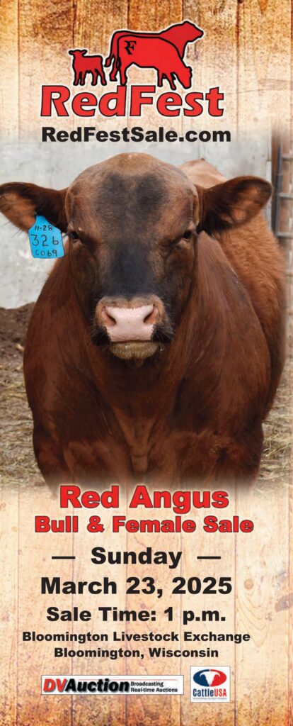 RedFest Red Angus Bull & Female Sale