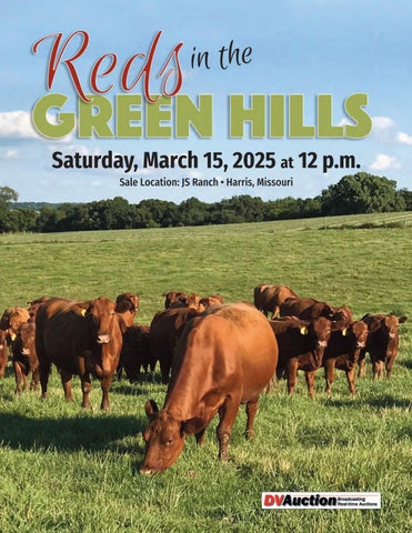 Reds in the Green Hills Bull & Female Sale