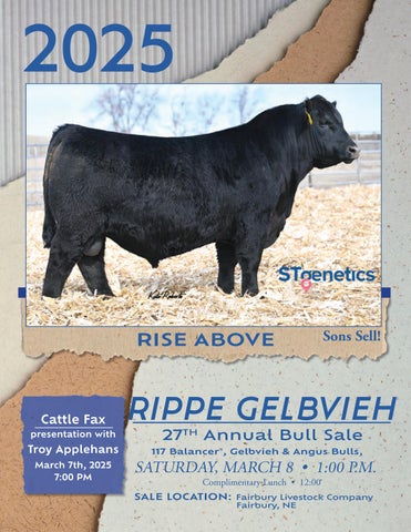 Rippe Gelbvieh 27th Annual Bull Sale