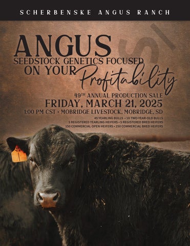 Scherbenske Angus Ranch 49th Annual Production Sale