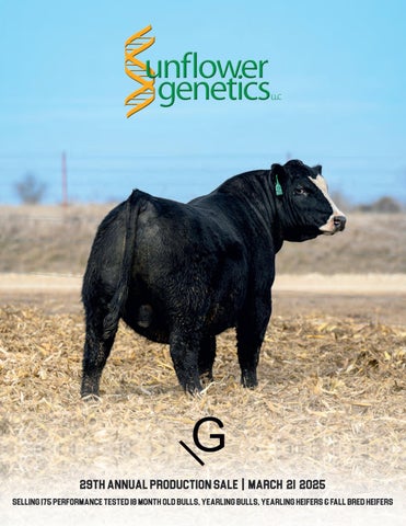 Sunflower Genetics 29th Annual Production Sale