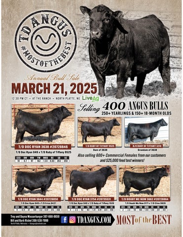 TD Angus Annual Bull Sale