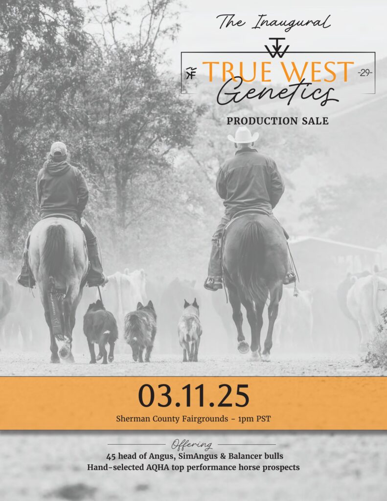The Inaugural True West Genetics Production Sale
