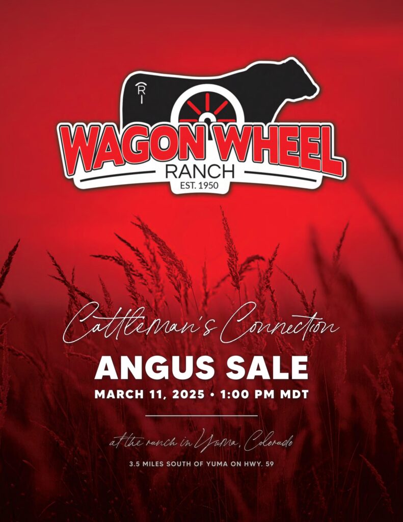 Wagon Wheel Ranch Cattleman's Connection Angus Sale