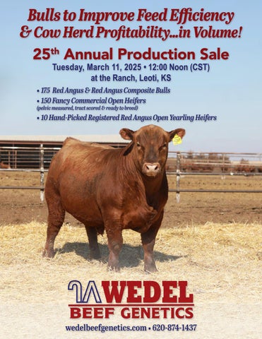 Wedel Beef Genetics 25th Annual Production Sale