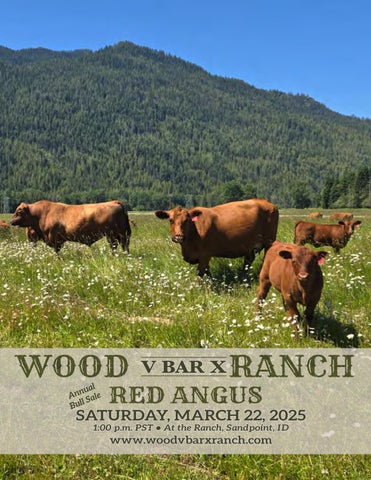 Wood V Bar X Ranch Red Angus Annual Bull Sale - LivestockDirect