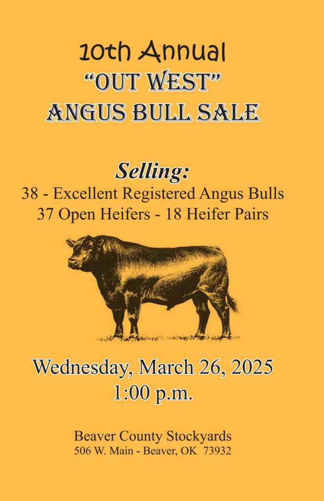 10th Annual "Out West" Angus Bull Sale